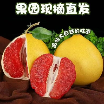 福建红心柚子水果包邮当季整箱时令水果红肉柚子琯溪红柚平和蜜柚