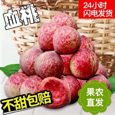 血桃新鲜当季水果5斤现摘桃子红心毛桃时令孕妇脆桃一整箱批发