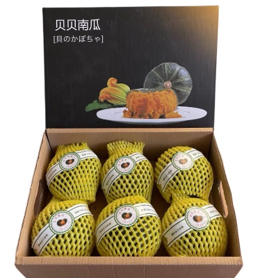 产地直发贝贝南瓜粉糯迷你南瓜宝宝辅食小南瓜新鲜板栗味一件代发