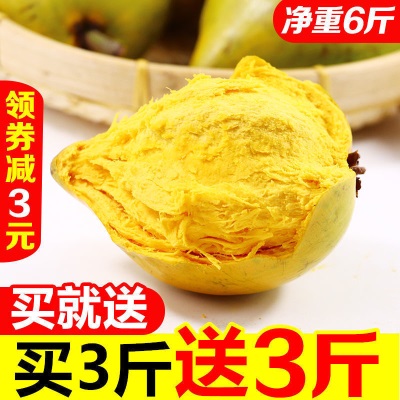 海南鸡蛋果蛋黄果5斤当季热带水果新鲜应季整箱批发产熟果1-3斤
