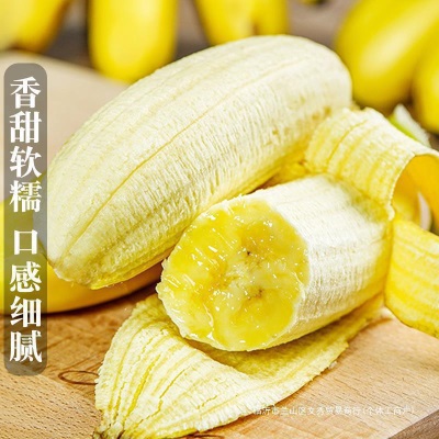 广西小米蕉香蕉10斤新鲜水果整箱当季鲜苹果蕉自然熟粉蕉包邮