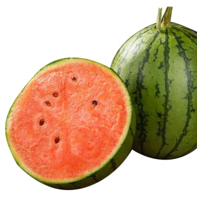 安徽小糖丸西瓜产地直发新鲜水果西瓜整件包邮当季小西瓜一件代发