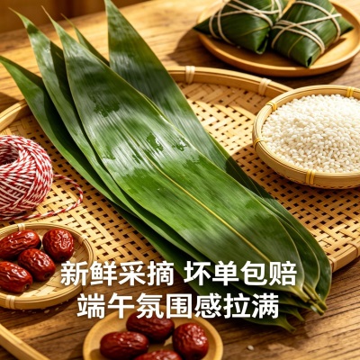 粽叶新鲜粽子叶大号正宗箬粽叶包粽子专用送粽绳干特大号商用批发
