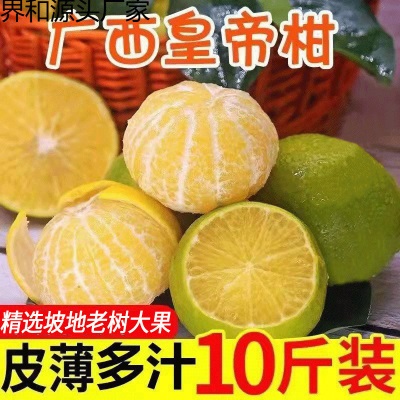 广柑斤新鲜水果贡柑斤柑橘薄皮批发橘子桔子