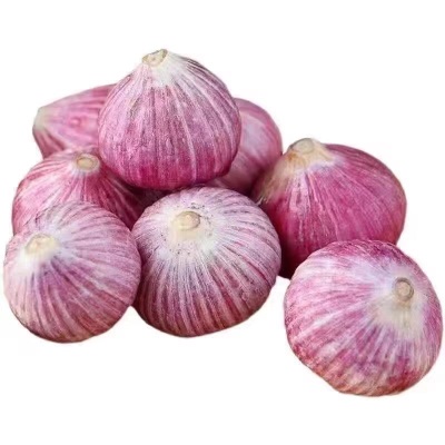 云南独头蒜5斤大蒜头新鲜紫皮独蒜湿大蒜红珍珠干蒜蔬菜整箱