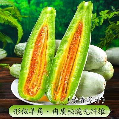 山东羊角蜜甜瓜新鲜水果10斤当季脆甜蜜瓜香瓜时令羊角脆整箱包邮
