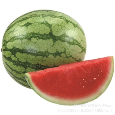 无籽西瓜种子种籽四季冰糖无籽西瓜种薄皮甜小西瓜水果种孑