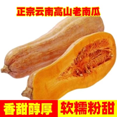云南老南瓜农家自种当季新鲜粉面甜糯小宝宝辅食整箱蒸煮密本南瓜