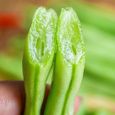 云南新鲜无筋豆角蔬菜刀豆角四季豆新鲜现摘现发厨房炒菜-5斤代发