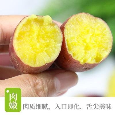 临安天目山小香薯正宗板栗红薯新鲜香甜农家小番薯地瓜蜜薯旗舰店