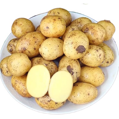 新鲜恩施小土豆现挖湖北新鲜黄心土豆当季蔬菜马铃薯洋芋一件代发