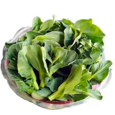 苏北菜苔新鲜农家自种摘发菜头青菜苔苏州青江苏当季海菜心批发