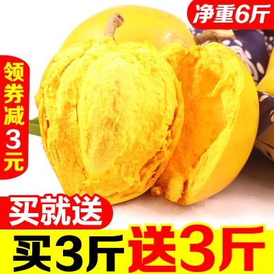 海南鸡蛋果蛋黄果5斤当季热带水果新鲜应季整箱批发产熟果1-3斤