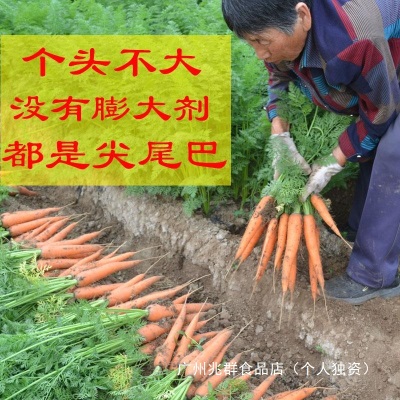 老品种新鲜胡萝卜带泥红萝卜农家宝宝水果蔬菜非转基因拍一单五斤