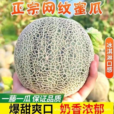 海南玫珑网纹蜜瓜超甜冰淇淋甜瓜香瓜哈密瓜应季水果有礼盒装