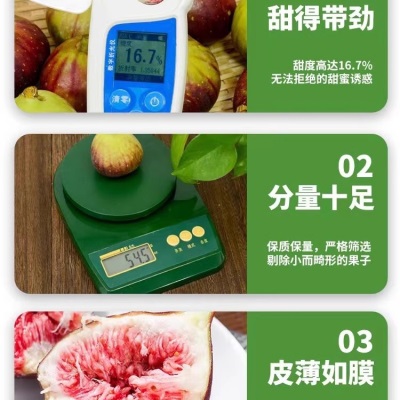 顺丰 新鲜红皮无花果5斤孕妇水果应当季大果青红皮鲜果整箱非威海