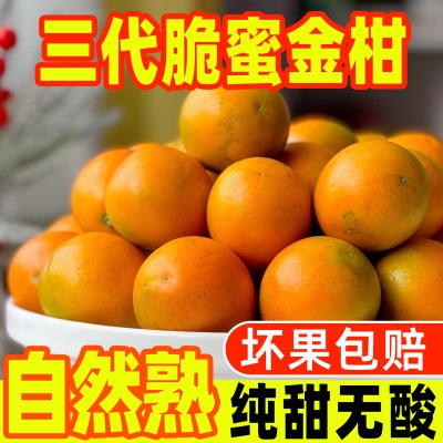 【脆蜜金柑】正宗第三广西融安脆蜜金桔新鲜应季水果立包装