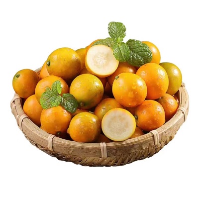 正宗广西融安脆蜜金桔第三鲜果大果新鲜脆蜜金柑应季水果礼盒装