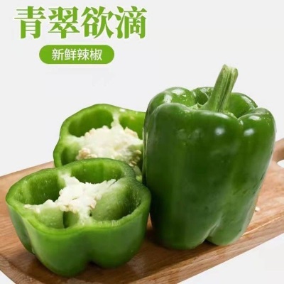 新鲜青椒圆椒甜椒不辣灯笼椒（发货后不退，破损丢件可补发）