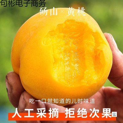 砀山黄桃10斤新鲜水果当季毛桃子整箱应季黄肉脆甜油蜜桃大果包邮