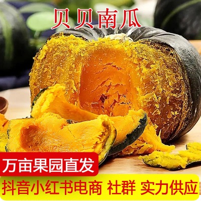 产地直发贝贝南瓜粉糯迷你南瓜宝宝辅食小南瓜新鲜板栗味一件代发