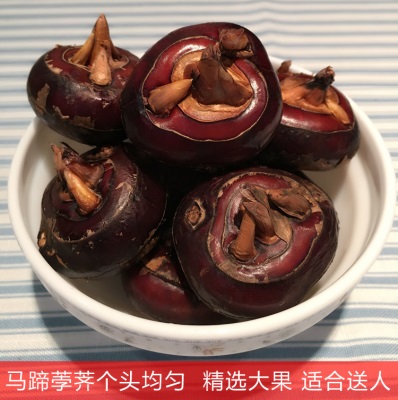 新鲜马蹄湖北农家荸荠特产带泥特大蔬菜地梨多汁地栗应季水果现挖