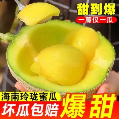 海南玫珑网纹蜜瓜超甜冰淇淋甜瓜香瓜哈密瓜应季水果有礼盒装