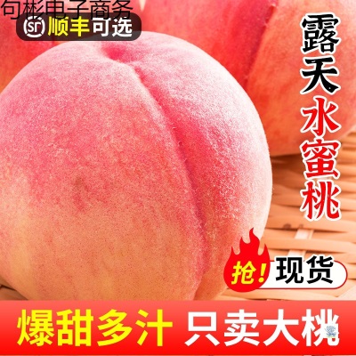 现摘新鲜桃子红美人水蜜桃9斤脆桃毛桃当季水果5斤