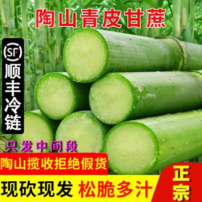 甘蔗陶山斤青皮绿皮孕妇新鲜水果应季果蔗现发脆甜蔗