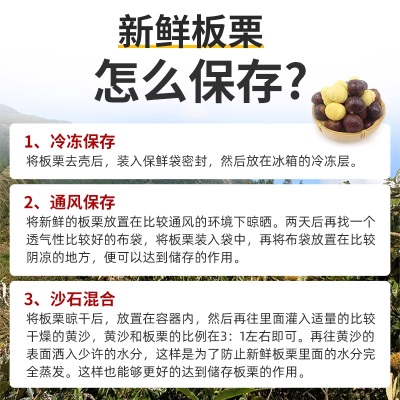 丹东板栗生新鲜5斤栗子当季油栗去刺壳板栗蔬菜现摘整箱包邮
