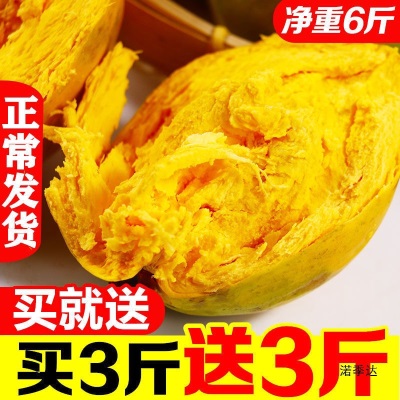 海南鸡蛋果蛋黄果5斤当季热带水果新鲜应季整箱批发产熟果1-3斤