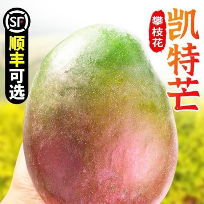 四川攀枝花凯芒果10斤新鲜水果当季现摘整箱大青皮甜心芒果包邮
