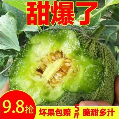 绿宝甜瓜5斤时令新鲜水果当季绿宝石脆甜香瓜1个小甜瓜