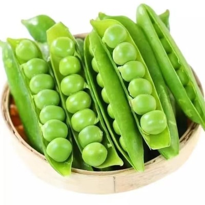 豌豆新鲜带壳云南云南高原长寿新鲜现摘露天甜脆水果蔬菜整箱