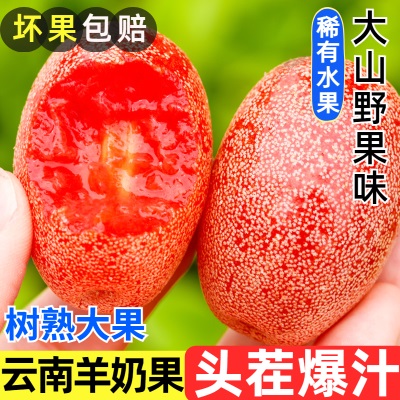 云南新鲜羊奶果大果热带时令孕妇水果稀有牛奶果新鲜摘纯甜口现货