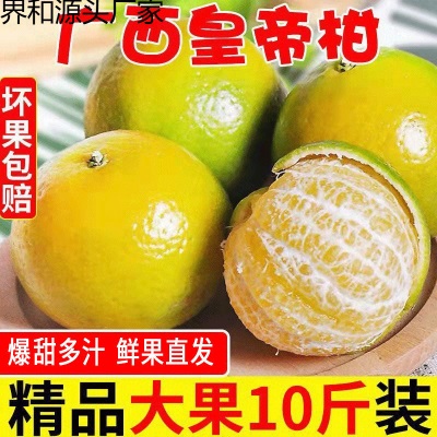 广柑斤新鲜水果贡柑斤柑橘薄皮批发橘子桔子
