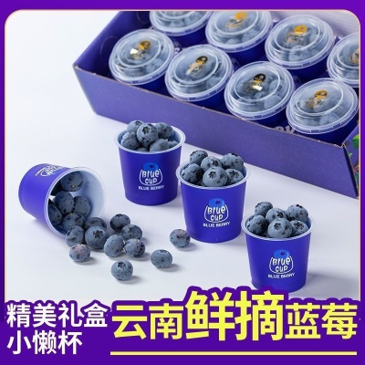 云南新鲜采摘高原蓝莓当季新鲜水果小蓝杯60g8杯礼盒工厂一件批发