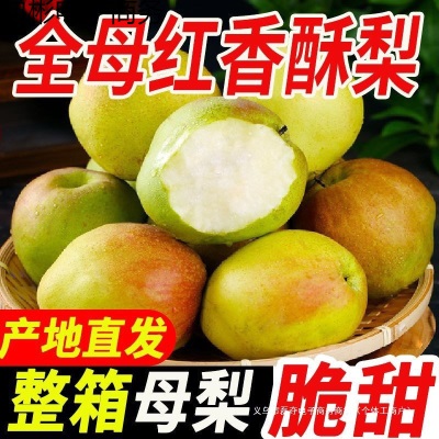 包邮香梨新鲜应季水果梨子水果批发整箱斤查看详情支持