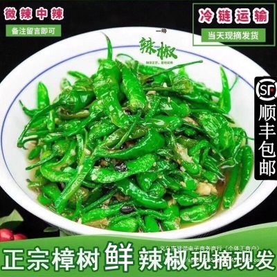 樟树港农家新鲜辣椒10斤青辣椒现摘下饭湘菜湖南特产顺丰产地直发