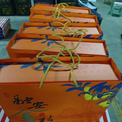 融安脆皮金桔5斤广西小橘子蜜金柑新鲜纯甜当季水果整箱礼盒