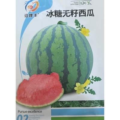 无籽西瓜种子种籽四季冰糖无籽西瓜种薄皮甜小西瓜水果种孑