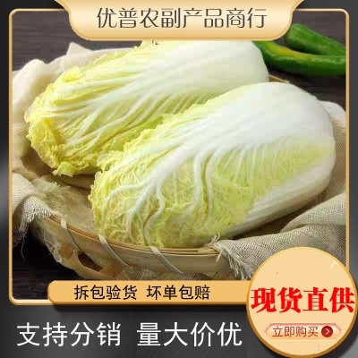 黄心娃娃菜高山娃娃菜新鲜生吃鲜嫩脆甜火锅菜黄心新鲜蔬菜农家菜