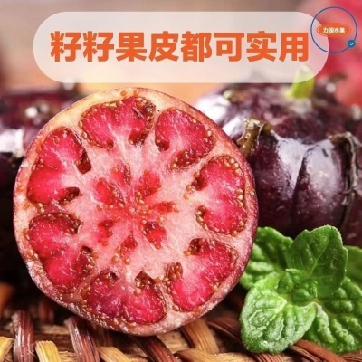【鲜果尝鲜】云南红果参新鲜现摘大果当季水果蜘蛛果整箱批发