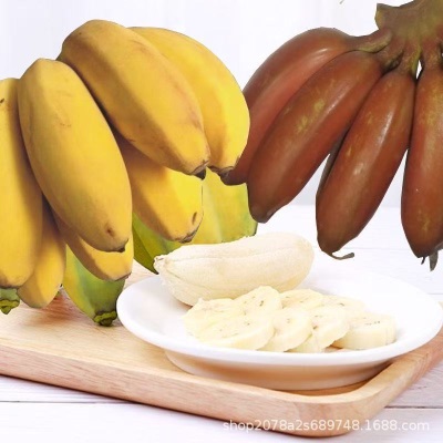 正宗红美人苹果粉香蕉双拼红皮蕉新鲜现砍当季水果红皮孕妇包邮