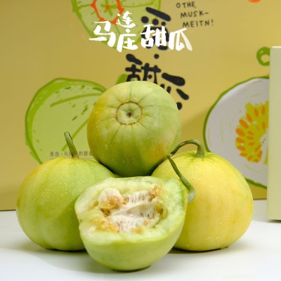 【顺丰京东】山东马连庄甜瓜头茬甜瓜香甜多汁现摘现发整箱3.5斤