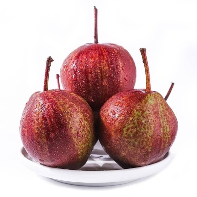 正宗陕西彩虹梨9斤整箱当季新鲜水果薄皮梨子10批发包邮5斤红皮梨