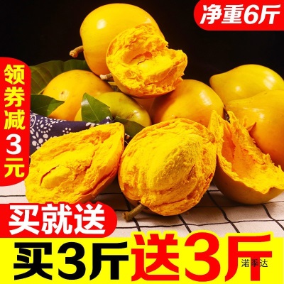 海南鸡蛋果蛋黄果5斤当季热带水果新鲜应季整箱批发产熟果1-3斤