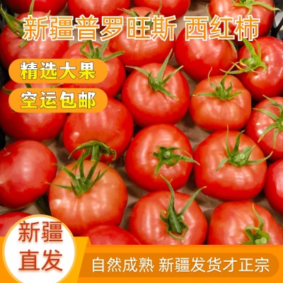 新疆普罗旺斯西红柿沙瓤番茄5斤水果新疆自然熟新疆直发空运批发
