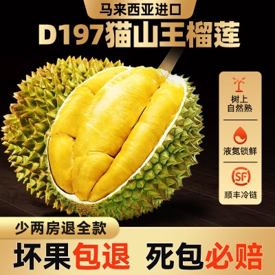 顺丰包邮马来西亚进口猫山王榴莲树熟D197D200液氮冷冻新鲜水果