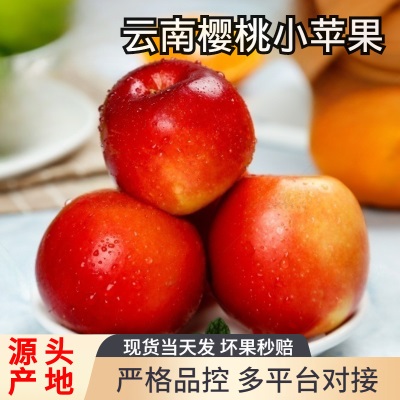 云南红露樱桃小苹果丑苹果当季时令水果脆甜昭通冰糖心红富士
